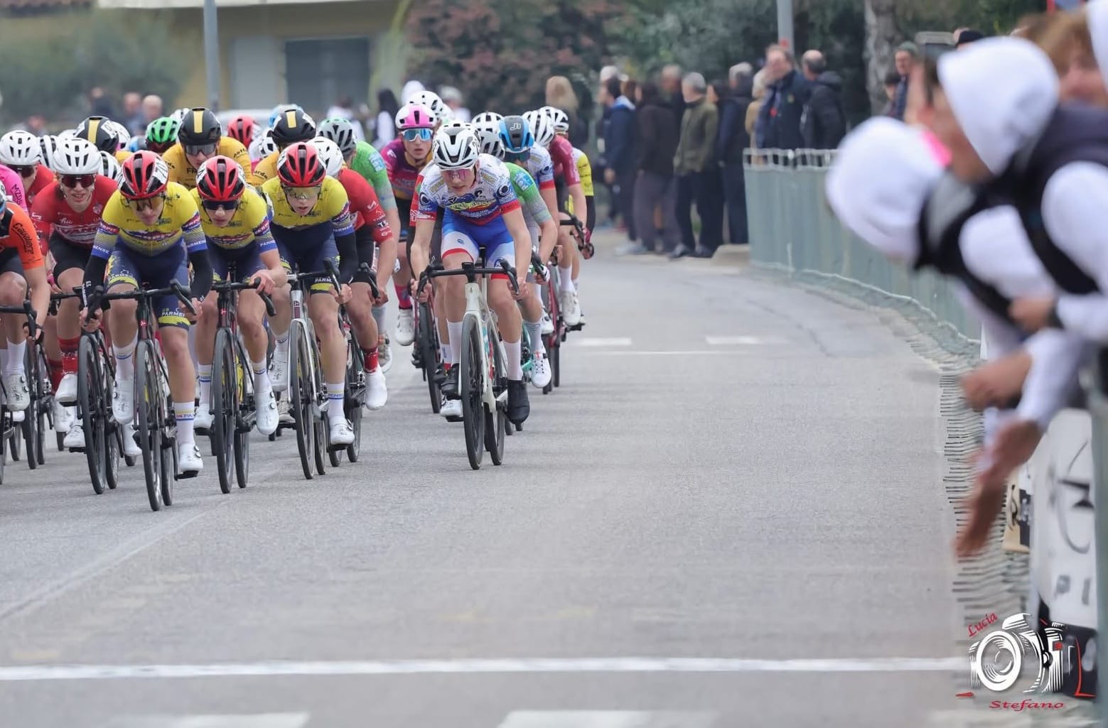 Il gruppo in corsa con Cristian in testa in maglia GS Parmense